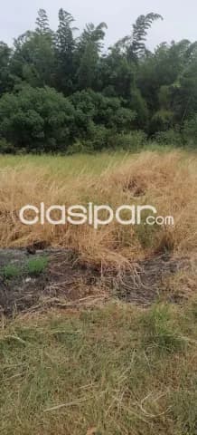 Terreno en Capiata — foto 2