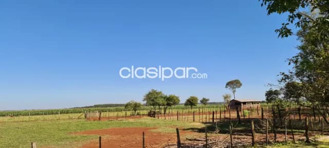 Campo Agrícola/Ganadero en Hernandarias - 40 Ha — foto 2