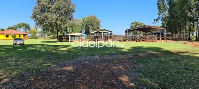 Campo Agrícola/Ganadero en Hernandarias - 40 Ha — foto 4