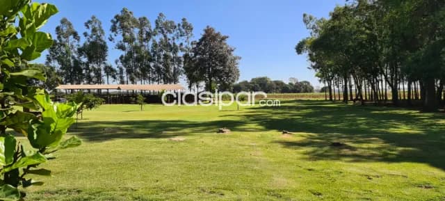 Campo Agrícola/Ganadero en Hernandarias - 40 Ha — foto 5