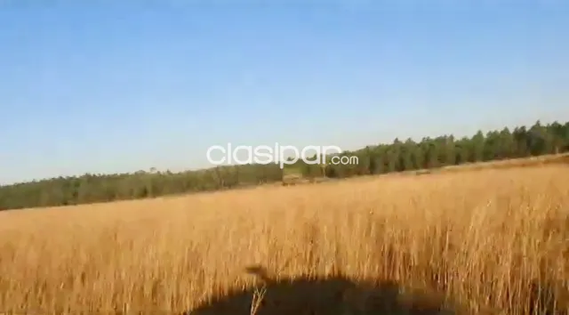 Campo Agrícola/Ganadero en Paraguari - 94 Ha — foto 2