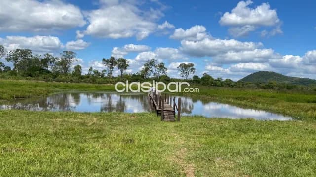 Campo Agrícola/Ganadero en Paraguari - 94 Ha — foto 3