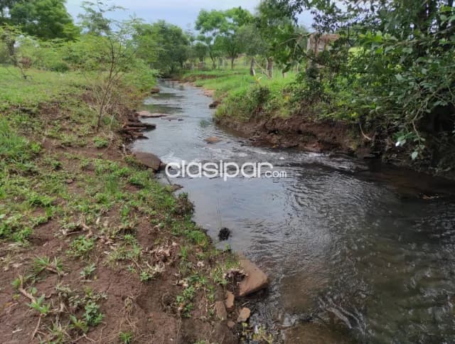 Terreno 2Has 8545m² con Casa en Colonia Santo Domingo, foto 5