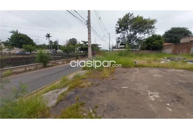 3 terrenos juntos sobre nivel de calle en madame lynch — foto 3