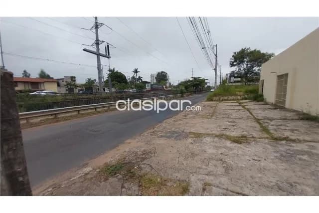 3 terrenos juntos sobre nivel de calle en madame lynch — foto 5