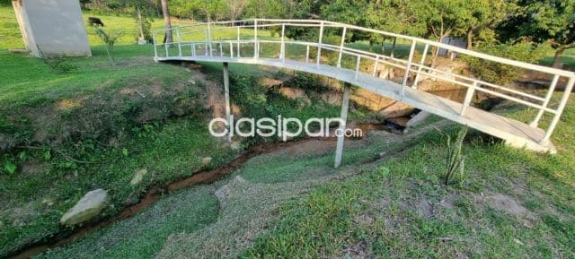 7 hectárea en caacupe con arroyo y plantacion de eucalipto