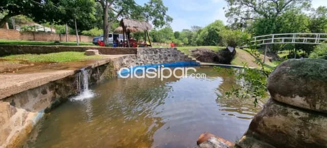 7 hectárea en caacupe con arroyo y plantacion de eucalipto, foto 3