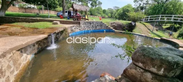 7 hectárea en caacupe con arroyo y plantacion de eucalipto, foto 4