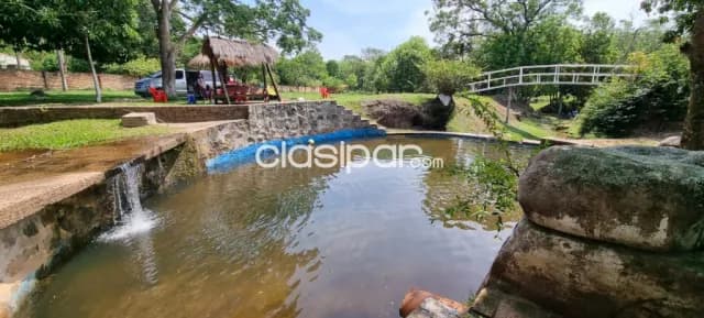 7 hectárea en caacupe con arroyo y plantacion de eucalipto, foto 5