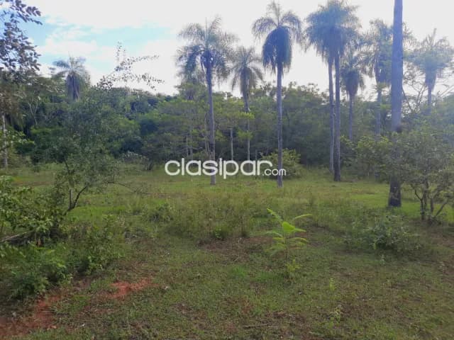 Oferta de 8 ha.en Nueva Colombia, foto 3