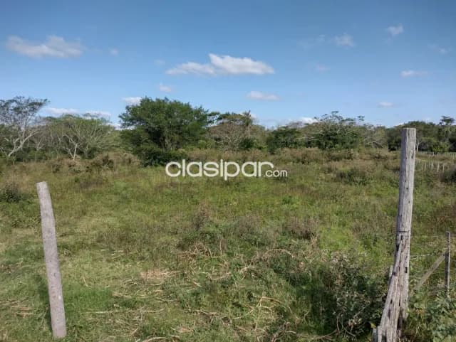 Terreno de 34 has zona Luque samber, foto 4