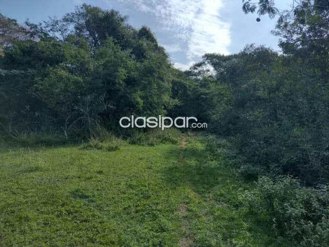 Terreno de 34 has zona Luque samber, foto 5