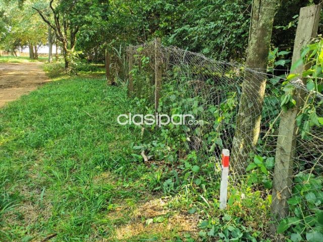 Terreno en venta en Surubi i