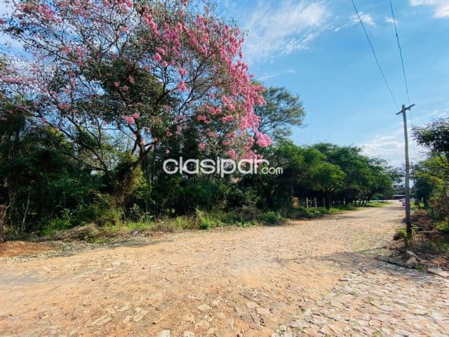 En venta hermosos terrenos sobre la ruta Luque San Bernardino, foto 1