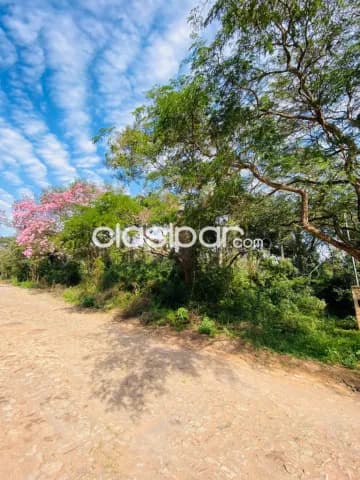 En venta hermosos terrenos sobre la ruta Luque San Bernardino, foto 3