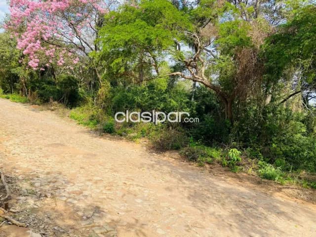 En venta hermosos terrenos sobre la ruta Luque San Bernardino, foto 5