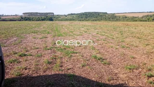 Terreno Agrícola Mecanizado en Juan E. O’Leary - 13 Ha, foto 2