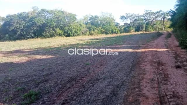 Terreno Agrícola Mecanizado en Juan E. O’Leary - 13 Ha, foto 3