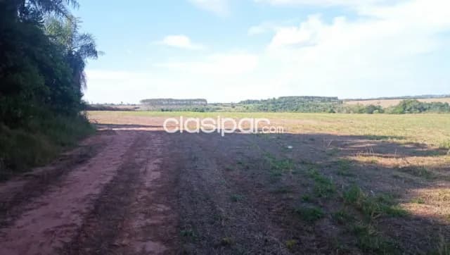 Terreno Agrícola Mecanizado en Juan E. O’Leary - 13 Ha, foto 4