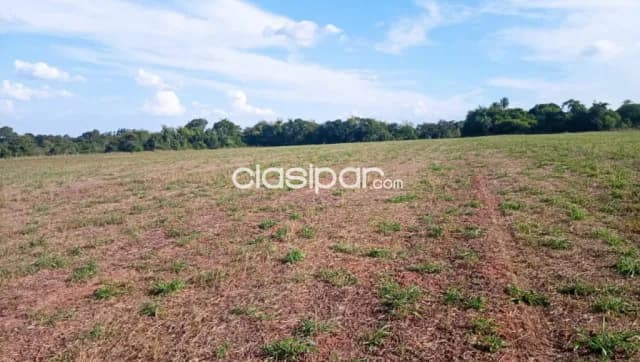 Terreno Agrícola Mecanizado en Juan E. O’Leary - 13 Ha, foto 5