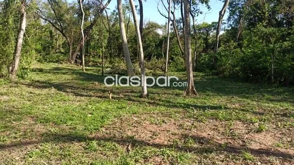 Terreno en San Bernardino cod 2959 — foto 2
