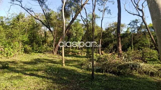 Terreno en San Bernardino cod 2959 — foto 4