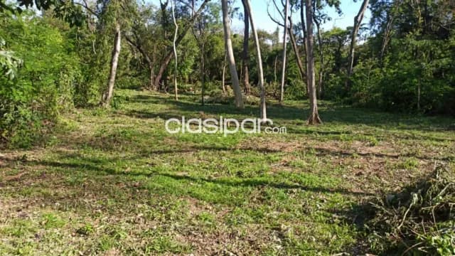Terreno en San Bernardino cod 2959 — foto 5