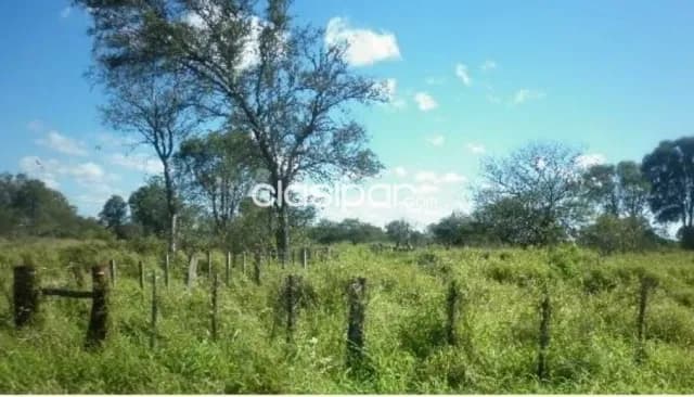 Campo de 8.012 Hectáreas en Teniente Pico, Boquerón - CLCS5945700 — foto 2