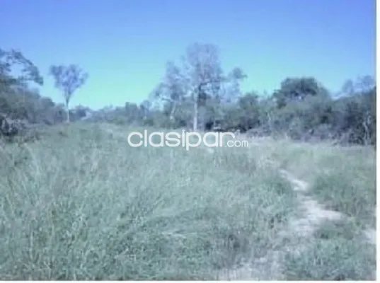 Campo de 8.012 Hectáreas en Teniente Pico, Boquerón - CLCS5945700 — foto 3