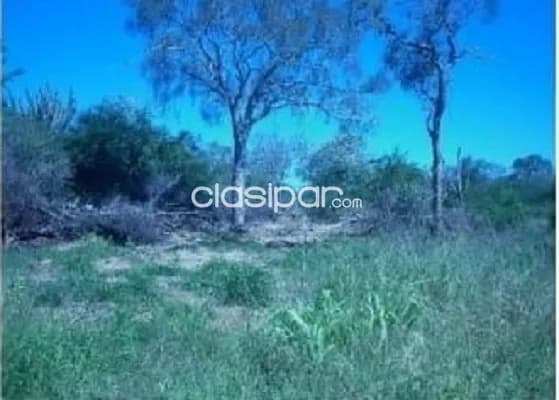 Campo de 8.012 Hectáreas en Teniente Pico, Boquerón - CLCS5945700 — foto 4