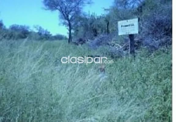 Campo de 8.012 Hectáreas en Teniente Pico, Boquerón - CLCS5945700 — foto 5