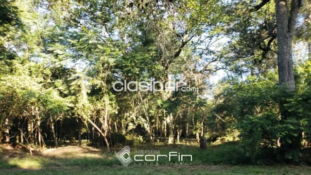 Terreno de 600 m2, en altos-cordillera, semi centro a una cuadra de av. Guillerno naumann, foto 4