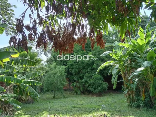 Inmueble productivo capiata — foto 5