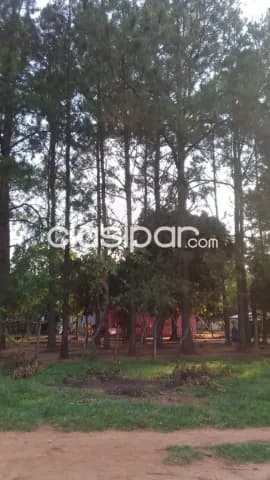 Terreno titulado, foto 3