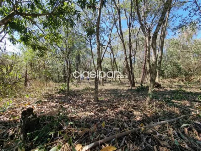 Terreno en San Bernardino zona anfiteatro cod 1381, foto 3