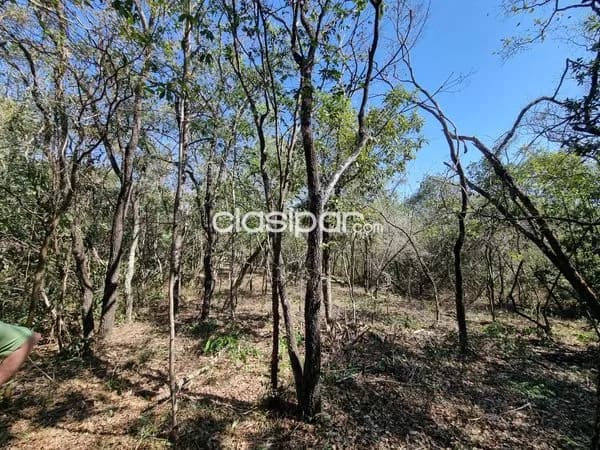 Terreno en San Bernardino zona anfiteatro cod 1381, foto 4
