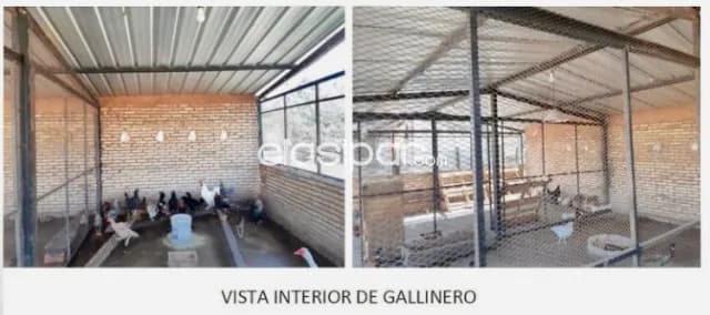 Granja familiar en Luque - dpto. Central — foto 4