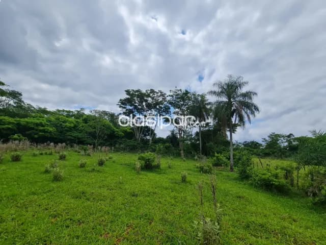10 has (100x1.000m) en Santani, foto 4