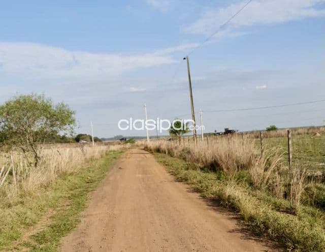 Terreno Rural en Maciel - 19 Ha