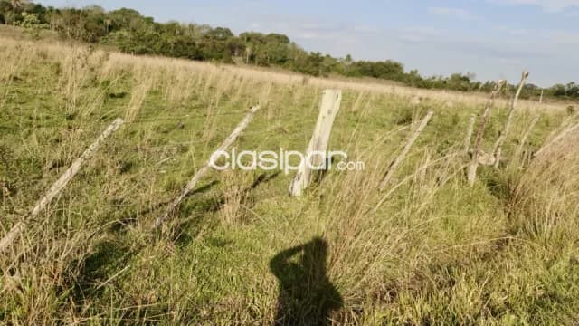 Terreno Rural en Maciel - 19 Ha, foto 5