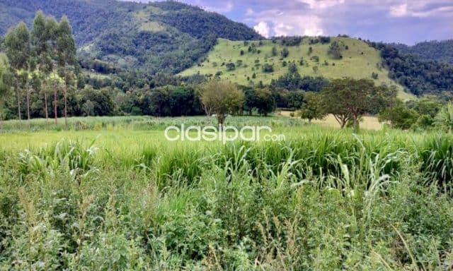 Campo Agrícola/Ganadero en Villarrica - 43 Ha