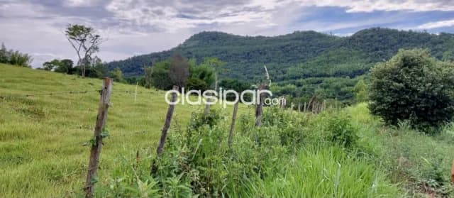 Campo Agrícola/Ganadero en Villarrica - 43 Ha, foto 3