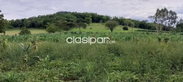 Campo Agrícola/Ganadero en Villarrica - 43 Ha, foto 4