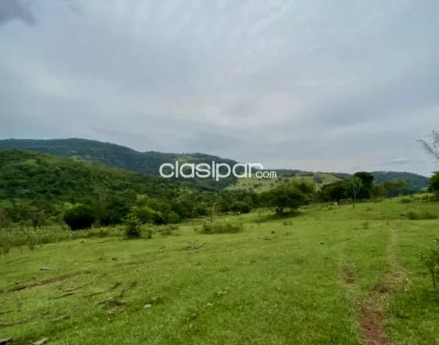 Campo Agrícola/Ganadero en Villarrica - 43 Ha, foto 5