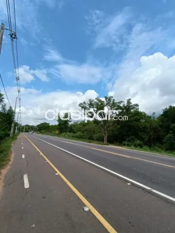 7 Hectáreas Sobre la Ruta Luque Sanber, Tarumandy - LLA5962531, foto 3