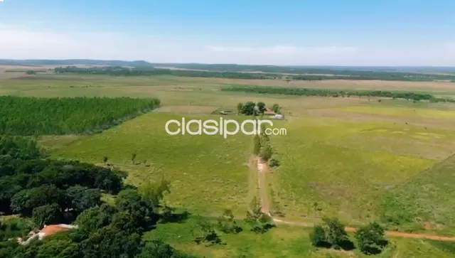 Estancia ganadera con infraestructura en cordillera - isla pucu, foto 2