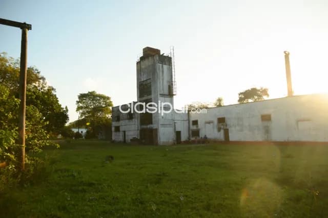 Amplio terreno en caacupe - barrio gral dias ex fabrica de caña, foto 2