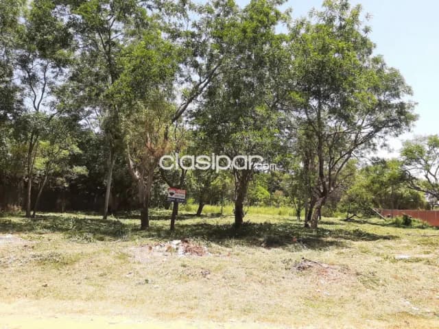 ✅ Amplio terreno en Limpio de 3.322 m² ✅ — foto 3