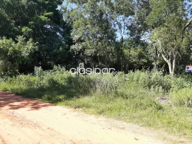 ✅ Amplio terreno en Limpio de 3.322 m² ✅ — foto 4