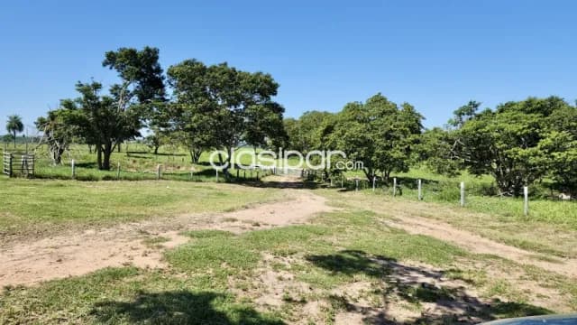Campo Agrícola/Ganadero Mecanizado en YVYRAROVANÁ - 252 Ha — foto 2